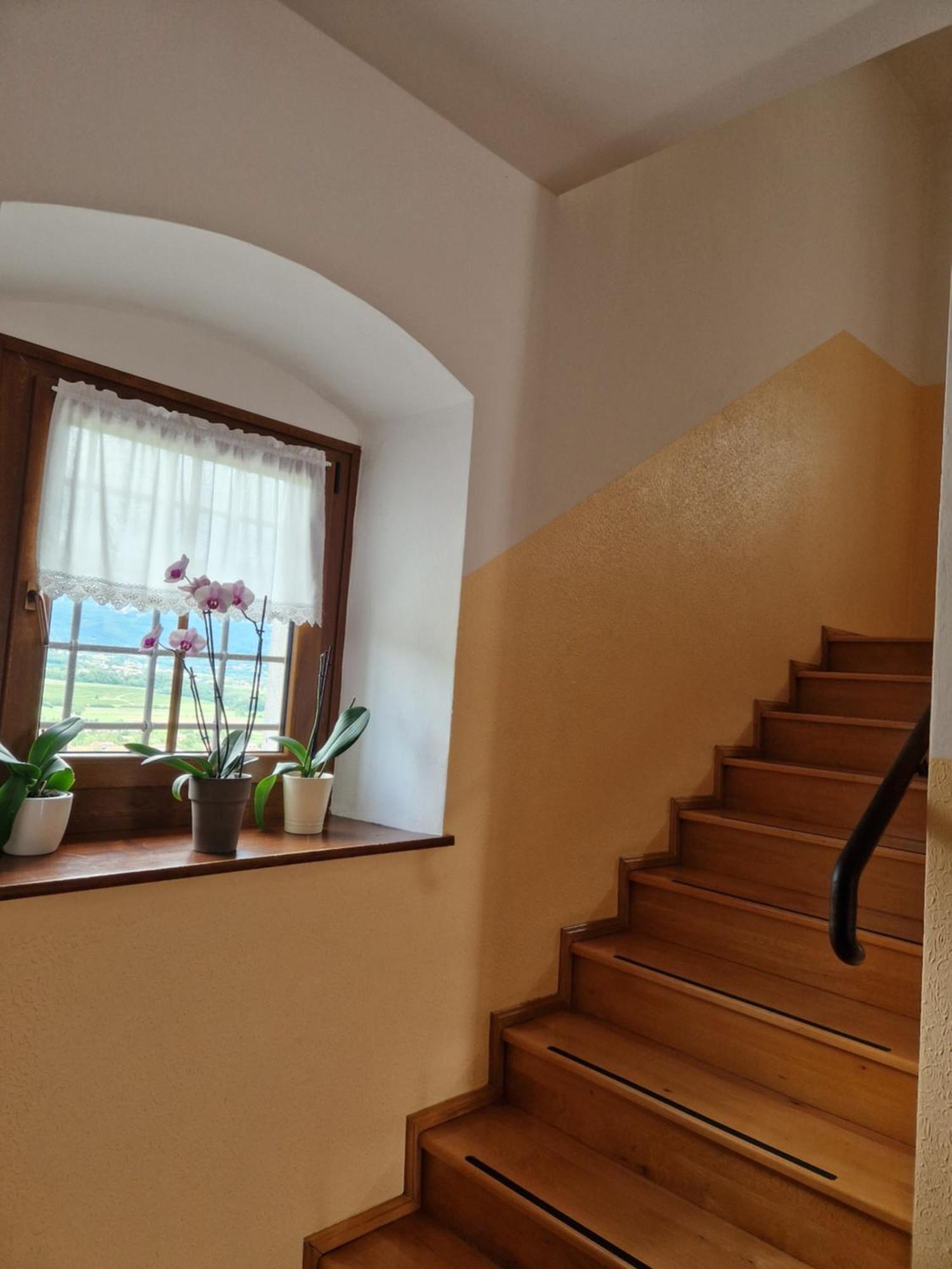 Apartma In Soba Vipavski Kriz Ajdovscina Exterior photo